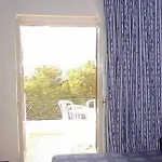 Oasis