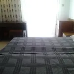 Oasis Hotel 2*