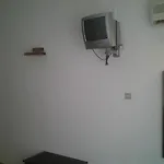 Oasis Hotel 2*